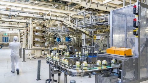 生產(chǎn)荷蘭奶粉的著名乳制品集團(tuán)菲仕蘭也要大量裁員