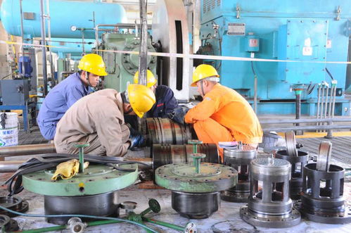 河南安陽殷都區 不負春光 搶抓生產