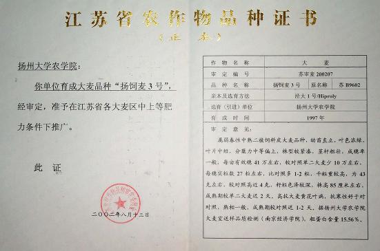 飼、食兼用大麥品種——揚(yáng)飼麥3號(hào) 國(guó)家保護(hù)授權(quán)品種轉(zhuǎn)讓與技術(shù)推廣