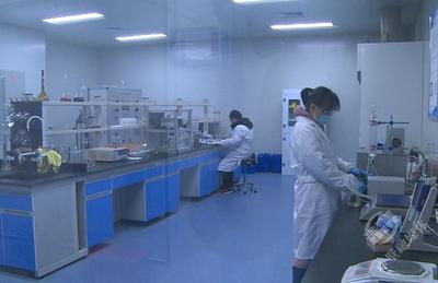 協(xié)商在一線 | 市政協(xié)調(diào)研支持中小企業(yè)提升研發(fā)能力工作 技術(shù)服務(wù)與技術(shù)成果轉(zhuǎn)讓的協(xié)同路徑